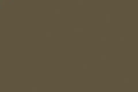 soltis-502V2-2148CCocoa