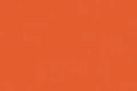 soltis-502V2-2172CCarrot