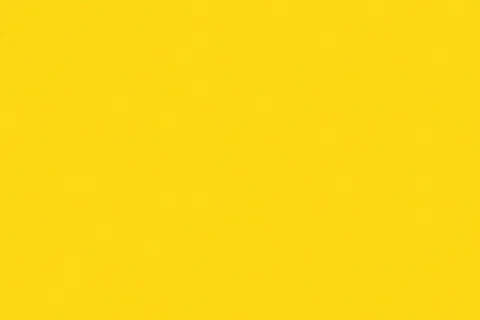 soltis-502V2-2166CButtercup