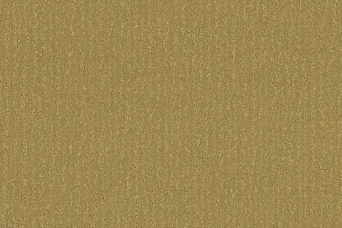 soltis-502V2-2138CAutumn