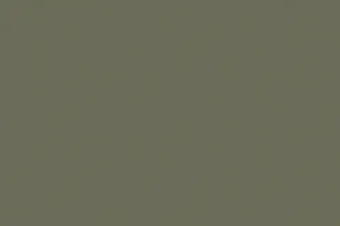 soltis-502V2-50668COlive