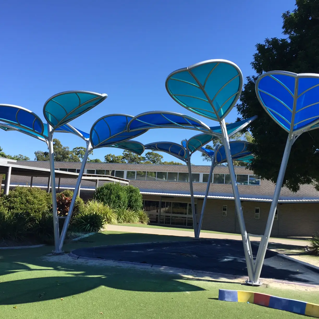 Loric Leaves Redeemer school in Brisbane